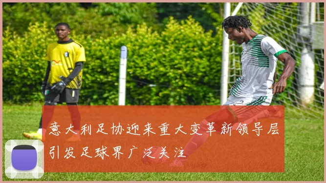 意大利足协迎来重大变革新领导层引发足球界广泛关注
